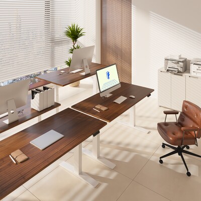 FlexiSpot E7COMMERCIAL 60''W Electric Height Adjustable Standing Desk, Black Walnut/White (E7WCOM6030-BW)