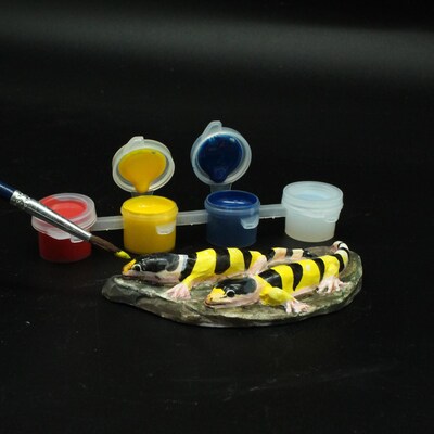 WILD! Science, Assorted Materials, Amazing and Bizarre Lizards of the World, Multicolored (CTUWES949)