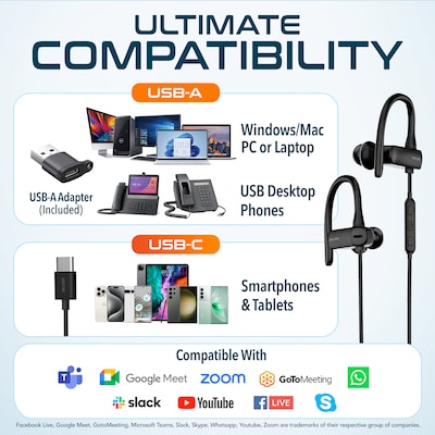 Delton 24ECA Wired Stereo Earbuds with Microphone, USB-C and USB-A Adapter, Black (DWH24ECA)