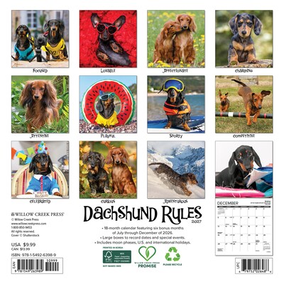 2027 Willow Creek Dachshund Rules 7 x 7 Monthly Wall Calendar (63989)