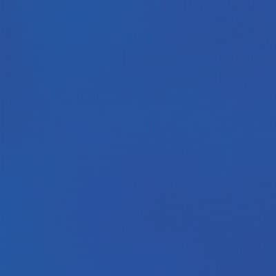 Liquitex BASICS Acrylic Paint Tube, Cobalt Blue Hue, 250 mL (LIQ4385170)