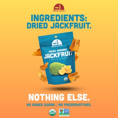 Mavuno Harvest Gluten Free Organic Dried Jackfruit Fruit Snacks, 1 lb. Bag (MAHW-JACK1LB)