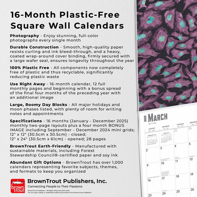 2025 BrownTrout Innerspace 12" x 12" Monthly Square Wall Calendar (9781975481438)