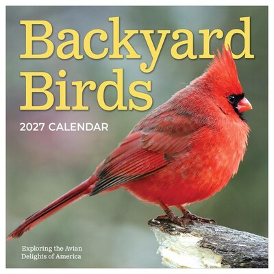 2027 TF Publishing Backyard Birds 12 x 11 Monthly Wall Calendar, Multicolored (27-1033)