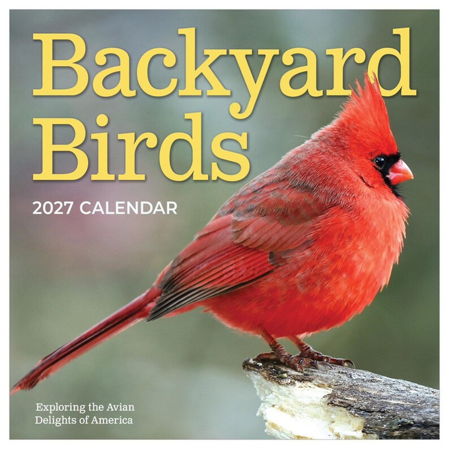 2027 TF Publishing Backyard Birds 12 x 11 Monthly Wall Calendar, Multicolored (27-1033)