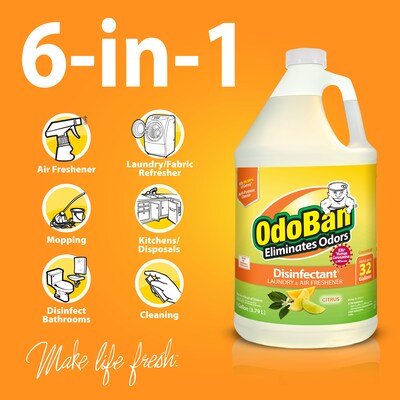 OdoBan Air Freshener & Deodorizer, Citrus Scent, 1 Gallon (911661-G4)