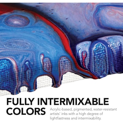 Daler-Rowney FW Acrylic Ink Pouring Set, Assorted Colors, 29.5ml, 4/Set (DRW139500100)