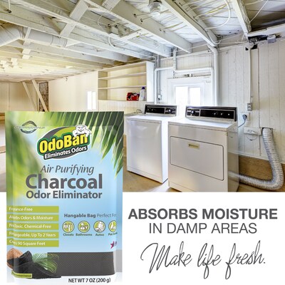 OdoBan Air Purifying Charcoal Deodorizer Solid, 7 oz. (9760A61-200M)