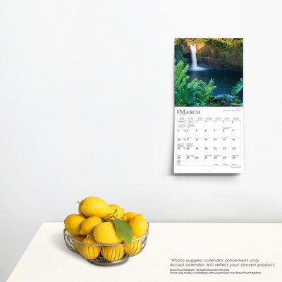 2024 BrownTrout Tropical Islands 7" x 14" Monthly Wall Calendar (9781975465438)