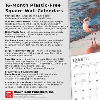 2026 BrownTrout Michigan Nature 12" x 12" Monthly Wall Calendar (9798330704583)