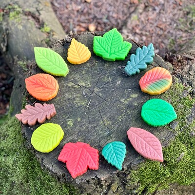 Yellow Door Sensory Play Stones, Leaves, Multicolored, 12 Pieces/Set (YUS1218)