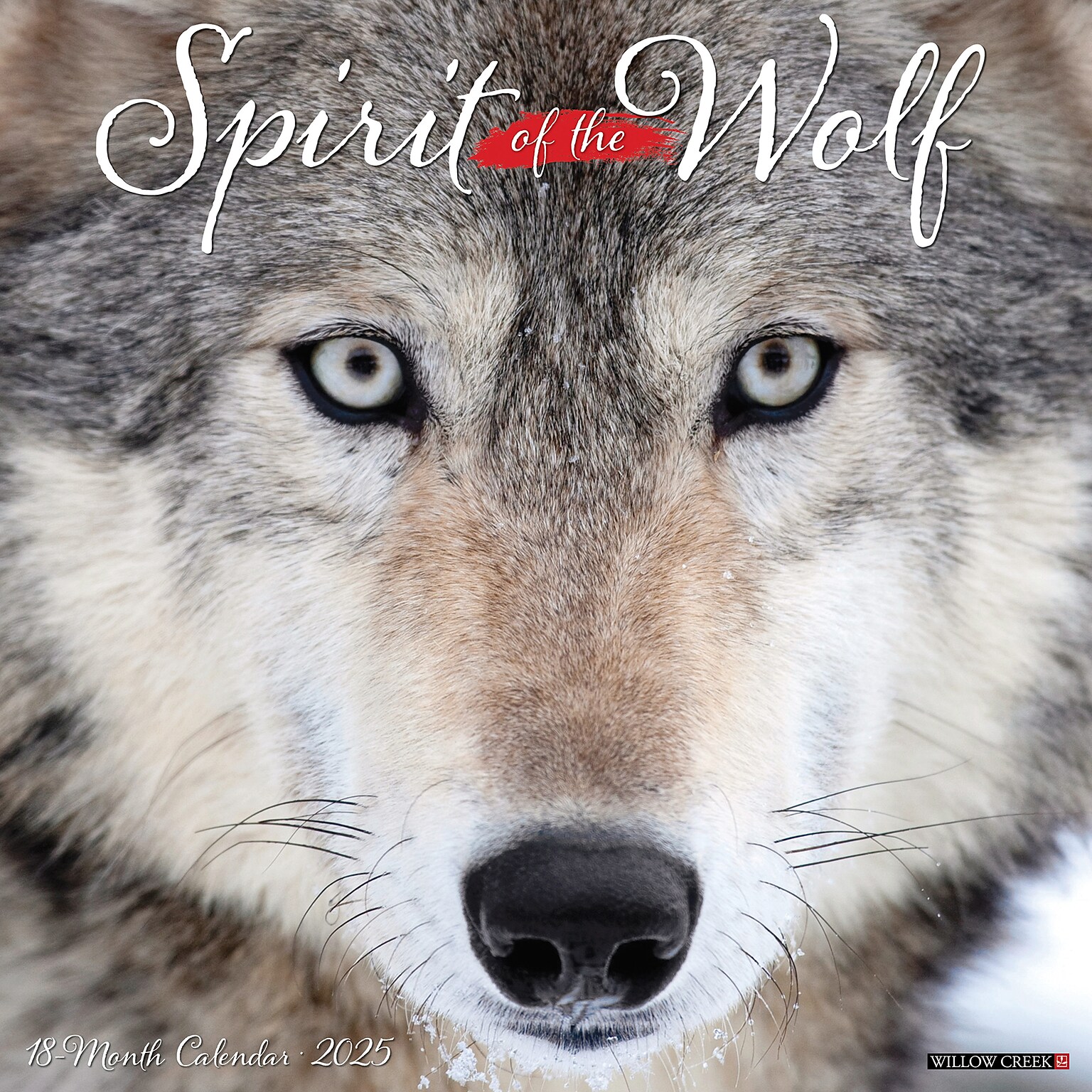 2025 Willow Creek Spirit of the Wolf 12 x 12 Monthly Wall Calendar (45008)