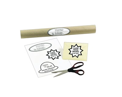 Avery TrueBlock Laser Shipping Labels, 8-1/2" x 11", White, 25 Labels/Pack (5265)