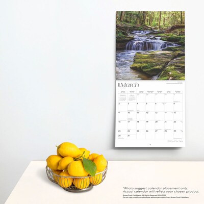 2025 BrownTrout West Virginia Wild & Scenic 12" x 12" Monthly Wall Calendar (9781975475918)