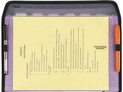 Five Star Reinforced Plastic Accordion File, 7-Pocket, Letter Size, Amethyst Purple (35170)