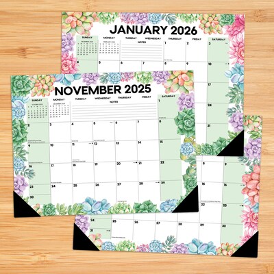 2025-2026 Willow Creek Succulents 22" x 17" Academic Monthly Desk Pad Calendar (54994)