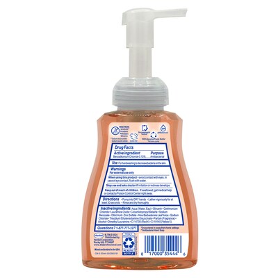 Dial Professional Antibacterial Defense with Aloe Foaming Hand Soap, Original Scent, 10 Fl. Oz., 8/C