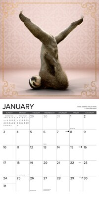 2027 Willow Creek Sloth Yoga 12" x 12" Monthly Wall Calendar, Assorted Colors (62388)