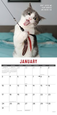 2027 Willow Creek Bad Kitties 12" x 12" Monthly Wall Calendar (58992)