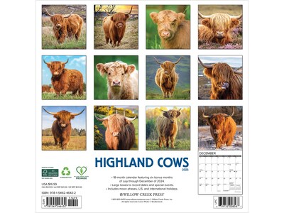 2025 Willow Creek Highland Cows 12 x 12 Monthly Wall Calendar (46432)