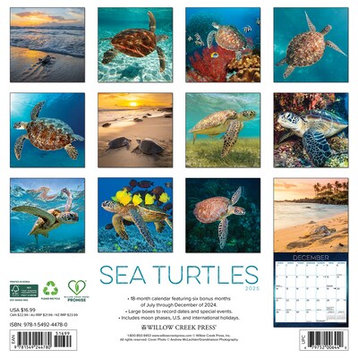 2025 Willow Creek Sea Turtles 12 x 12 Monthly Wall Calendar (44780)
