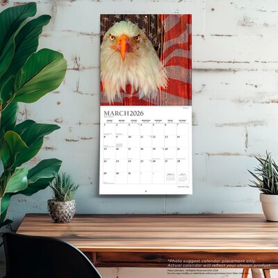 2026 Plato America's Flag 12" x 12" Monthly Wall Calendar (9798330706624)