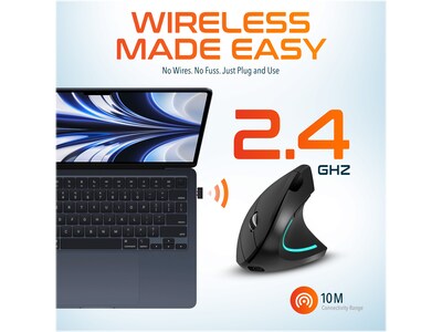 Delton Ergonomic 12 Wireless Ergonomic Vertical Optical Gaming Mouse, Black (DMERG12-WR )