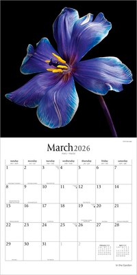 2026 Brush Dance In the Garden 12" x 12" Monthly Wall Calendar (9798330706525)