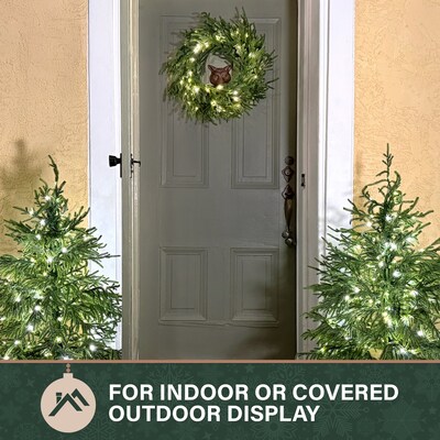 Fraser Hill Farm 24” Real Feel Artificial Wreath (FFRF024W-5MGR)