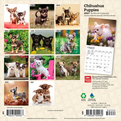 2027 BrownTrout Chihuahua Puppies 7 x 7 Monthly Wall Calendar, Assorted Colors (9798330709960)