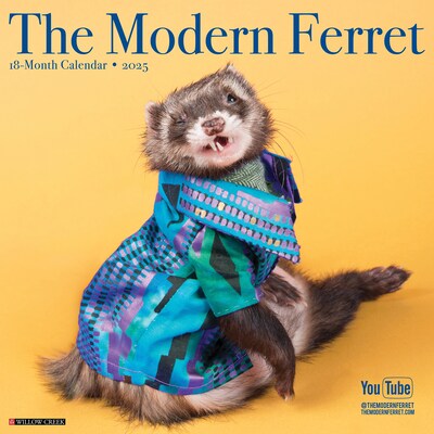 2025 Willow Creek The Modern Ferret 12 x 12 Monthly Wall Calendar (43967)