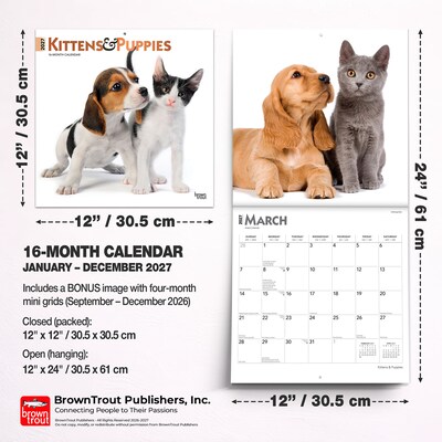 2027 BrownTrout Kittens & Puppies 12" x 12" Monthly Wall Calendar (9798330711796)