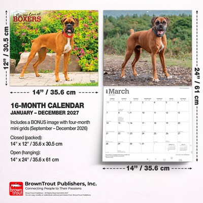 2027 BrownTrout For the Love of Boxers 14" x 12" Monthly Wall Calendar, Assorted Colors (9798330709236)