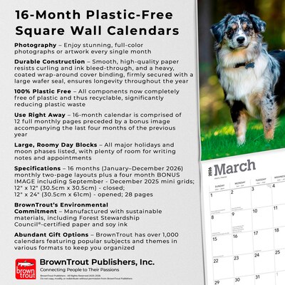 2026 BrownTrout Australian Shepherds 12" x 12" Monthly Wall Calendar (9798330702220)