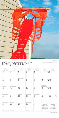 2026 BrownTrout Maine Coast 12" x 12" Monthly Wall Calendar (9798330704453)