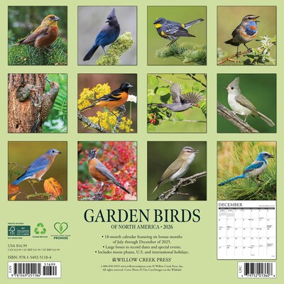2026 Willow Creek Garden Birds 12 x 12 Monthly Wall Calendar (51184)