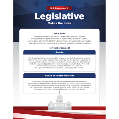 North Star Teacher Resources 17? x 22? U.S. Government Bulletin Board Set, 4/Set (NST3505)