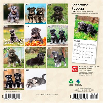 2026 BrownTrout Schnauzer Puppies 7 x 7 Monthly Wall Calendar (9798330705436)