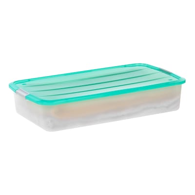 Iris 50 Quart Storage Container, Plastic, Clear (300333)