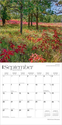 2026 BrownTrout Minnesota Wild & Scenic 12" x 12" Monthly Wall Calendar (9798330704606)