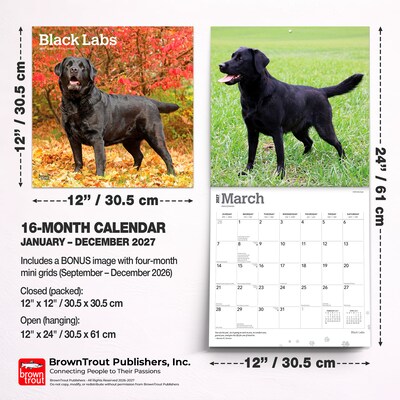 2027 BrownTrout Black Labrador Retrievers 12" x 12" Monthly Wall Calendar (9798330712557)