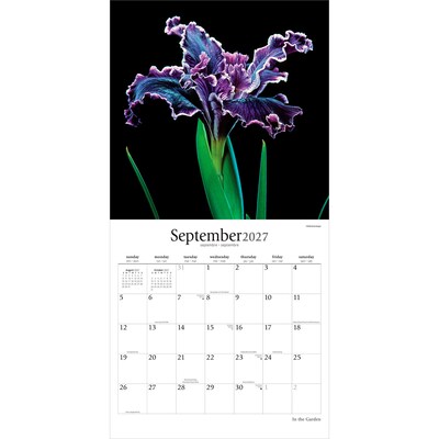 2027 BrownTrout In the Garden 12" x 12" Monthly Wall Calendar (9798330713974)