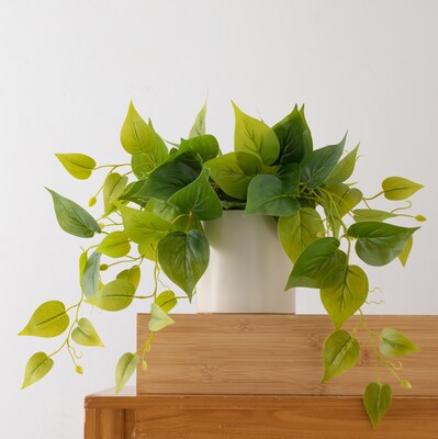 Forever Leaf Artificial Ivy Foliage Plant in White Ceramic Pot (FEV-IVYW)