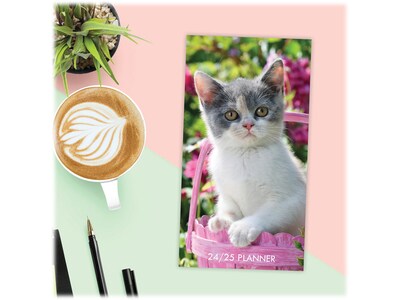 2024-2025 Willow Creek Cute As A Kitten 3.5" x 6.5" Monthly Planner, Multicolor (38475)