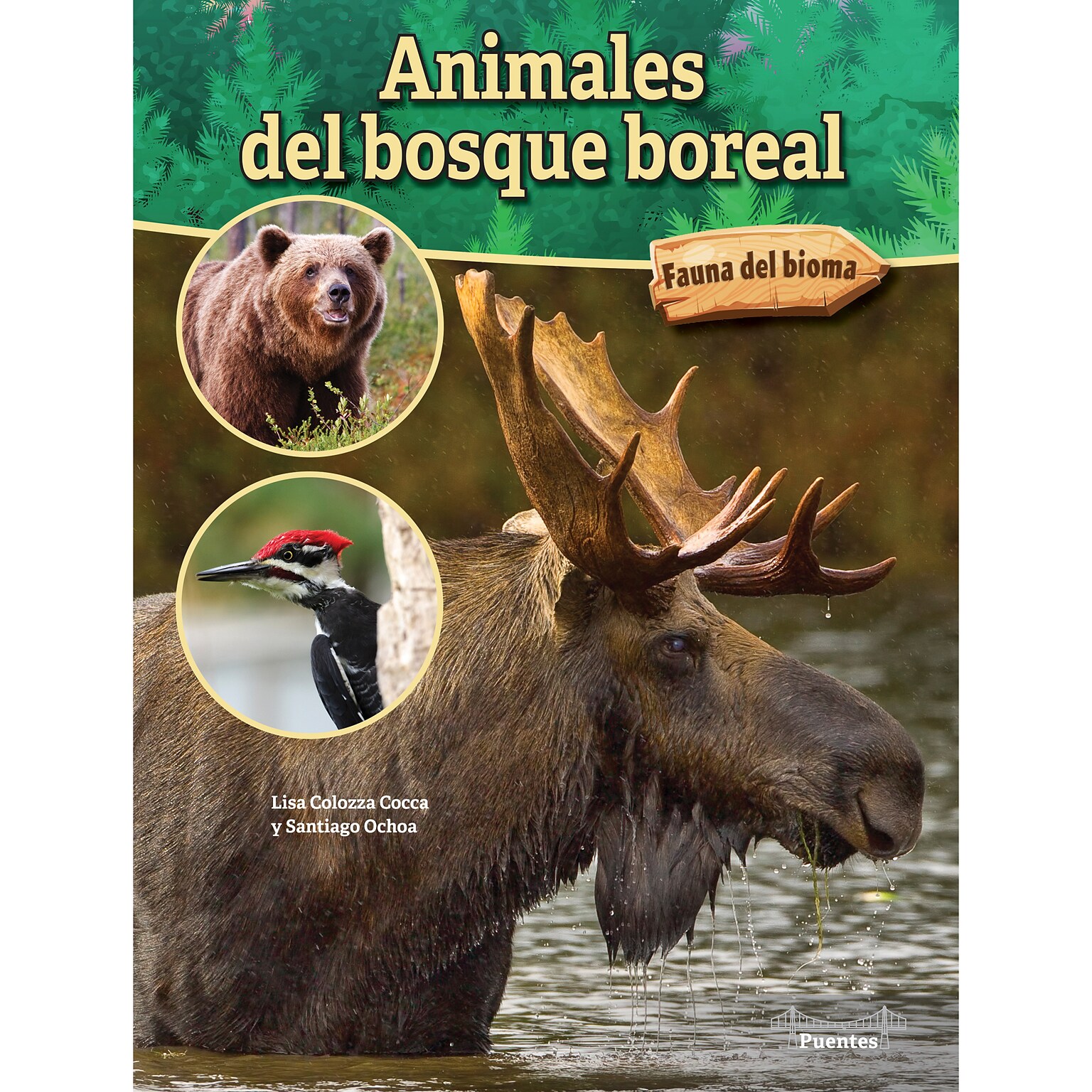 Carson-Dellosa Bridges Animales del bosque boreal, Hardcover (CD-9781731654601)