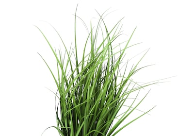 Monarch Specialties Inc. 23" Artificial Grass Plant in Pot (I 9575)