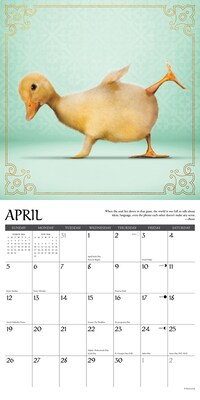 2026 Willow Creek Farm Yoga 12" x 12" Monthly Wall Calendar (51092)