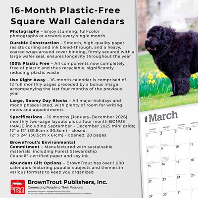 2026 BrownTrout Newfoundlands 12" x 12" Monthly Wall Calendar (9798330704903)