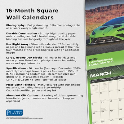 2025 Plato Supercars 12" x 12" Monthly  Wall Calendar (9781975480776)