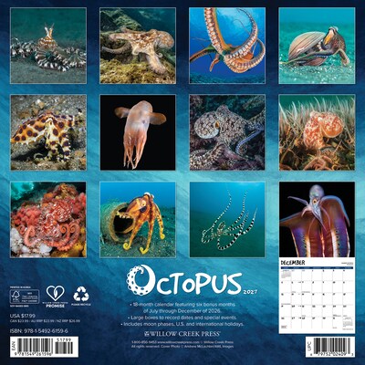 2027 Willow Creek Octopus 12 x 12 Monthly Wall Calendar (61596)